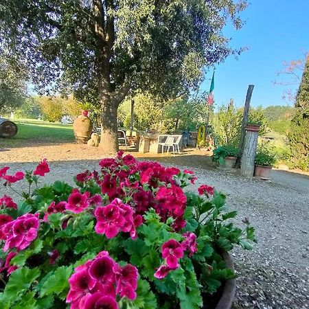 Azienda Agricola Polveraia Σαν Τζιμινιάνο Εξωτερικό φωτογραφία