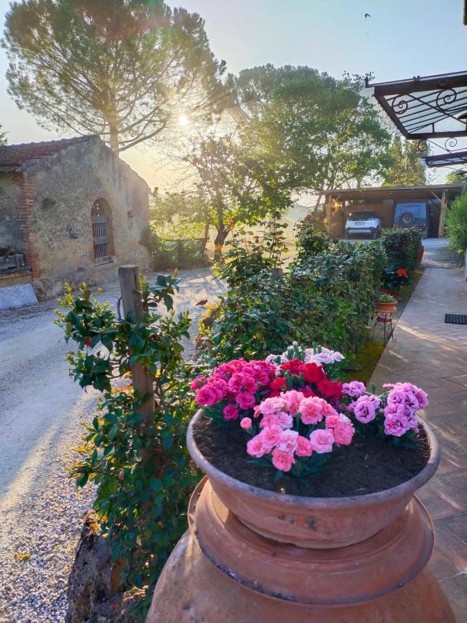 Azienda Agricola Polveraia Σαν Τζιμινιάνο Εξωτερικό φωτογραφία