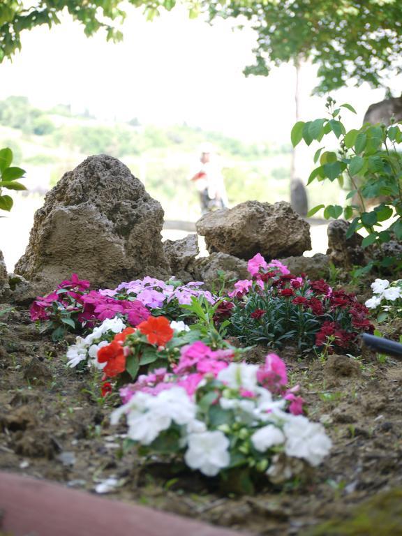 Azienda Agricola Polveraia Σαν Τζιμινιάνο Εξωτερικό φωτογραφία