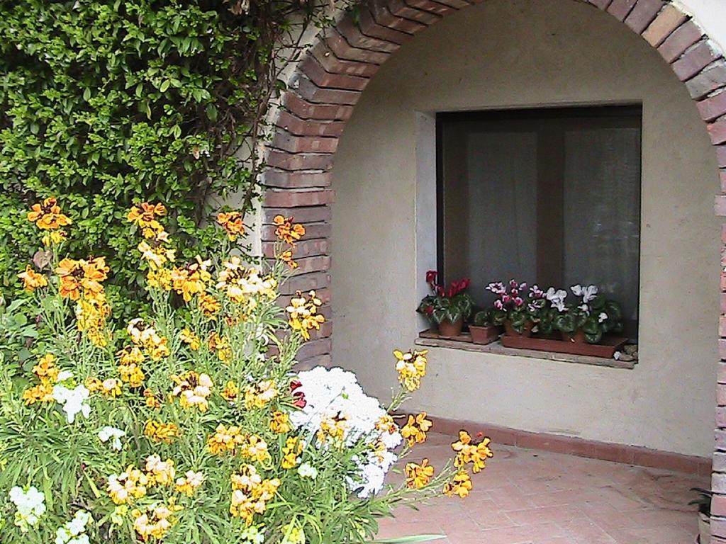 Azienda Agricola Polveraia Σαν Τζιμινιάνο Εξωτερικό φωτογραφία