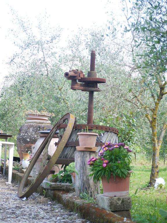 Azienda Agricola Polveraia Σαν Τζιμινιάνο Εξωτερικό φωτογραφία