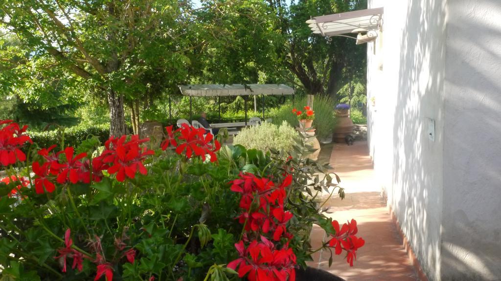 Azienda Agricola Polveraia Σαν Τζιμινιάνο Εξωτερικό φωτογραφία