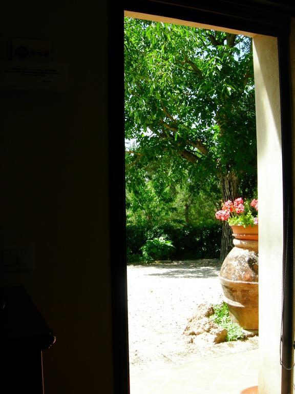 Azienda Agricola Polveraia Σαν Τζιμινιάνο Εξωτερικό φωτογραφία