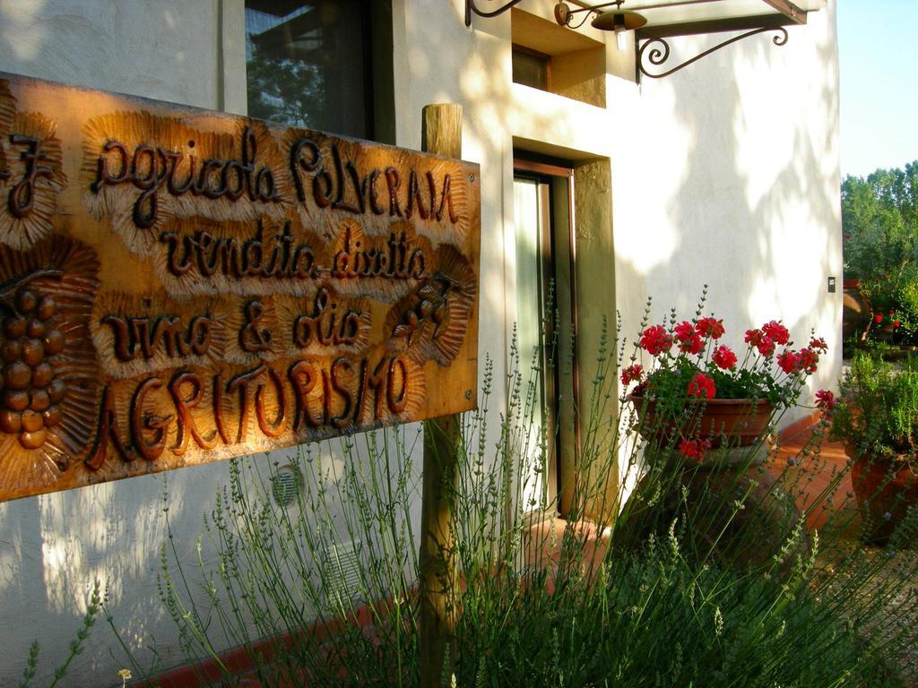 Azienda Agricola Polveraia Σαν Τζιμινιάνο Εξωτερικό φωτογραφία