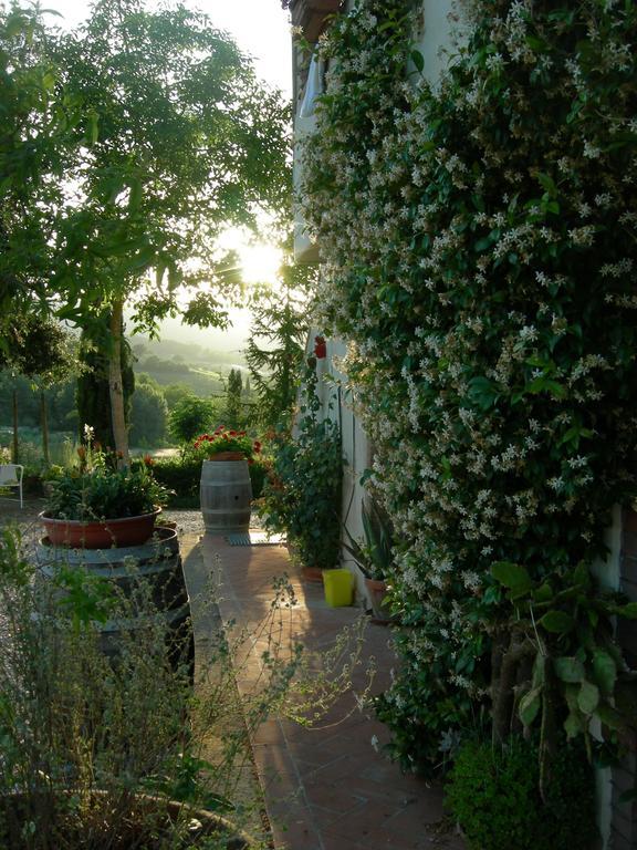 Azienda Agricola Polveraia Σαν Τζιμινιάνο Εξωτερικό φωτογραφία