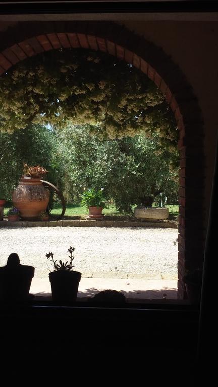 Azienda Agricola Polveraia Σαν Τζιμινιάνο Εξωτερικό φωτογραφία
