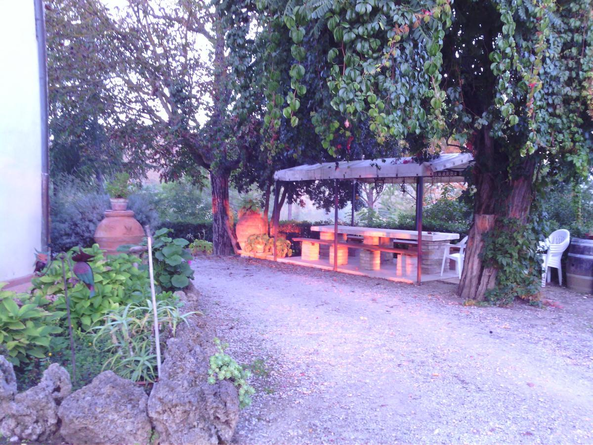 Azienda Agricola Polveraia Σαν Τζιμινιάνο Εξωτερικό φωτογραφία
